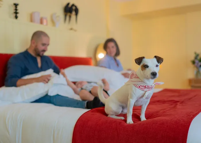 Mercure Cité Mondiale Centre 4* Bordeaux