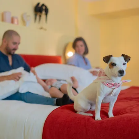 Indigo Centre Chartrons By Ihg 4* בורדו